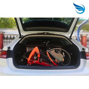 Xe Lăn Đứng Wisking 8810