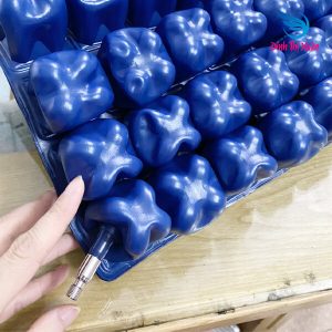 Đệm Chống Loét Cao Cấp Cao Su Neoprene