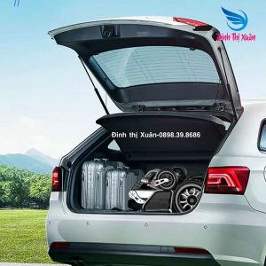 Xe Lăn Điện Hongyuntai