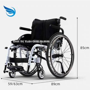 Xe Lăn Tay Kama Ergo Live